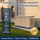 ApexGen 24kW / 30kVA Three Phase Home Standby Gas Generator Dual Fuel Liquid Cooled 500H Load Tested System