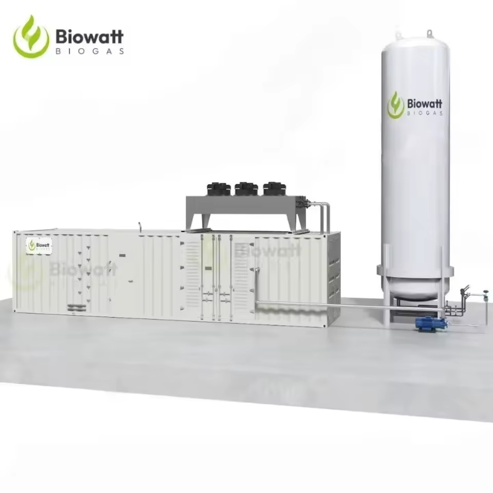 Complete Biogas Plant System Including Anaerobic Digester Gas Holder Storage Tank and Biogas to CNG Conversion Unit