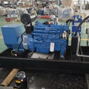 80kW 100kVA Natural Gas Generator Set Water Cooled Remote Start for Farm Industrial Standby Power Supply