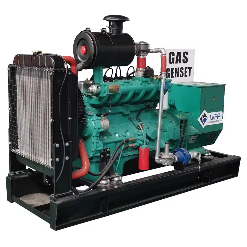 30kw 40kw 50kw 60kw 100kw 200kw LPG Biogas Natural Gas Biogas Generator