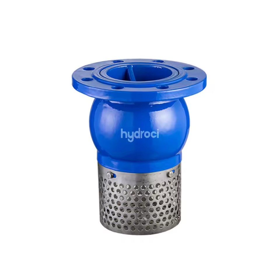 Clapet Daspiration (Suction Flap Valve) Steel Crepine Designed for Drinking Water Non-Corrosive Liquids Municipal Wastewater