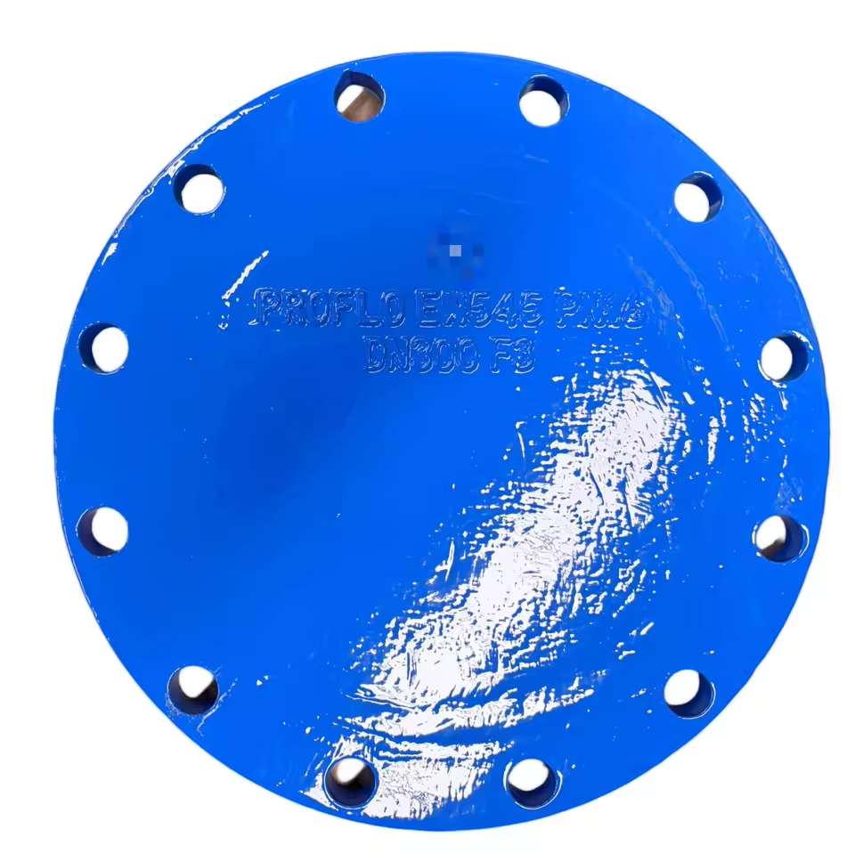 Epoxy Coated Ductile Iron Blind Flange DN100 PN10/16/25 High Quality Cast Iron Blank Flange for Water
