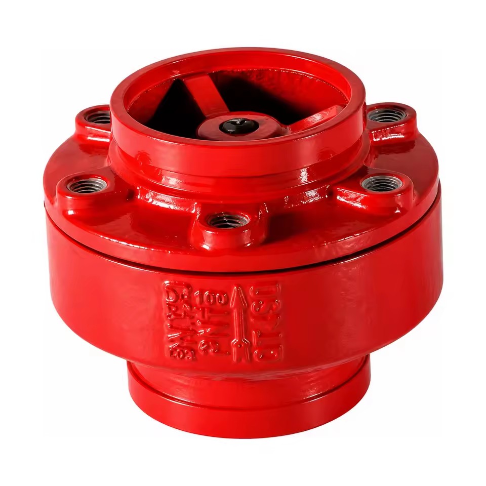 Ductile Cast Iron Grooved Manual Check Valve PN16 2 In-8 in HC81X-16Q for Water Backflow Prevention