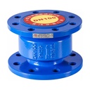Ductile Cast Iron Check Valve PN16 2 in - 24 in HC41X-16Q for Backflow Prevention