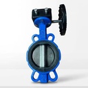 Wafer Butterfly Valve Worm Gear Operated SS304 Disc Soft Seal Ductile Iron D371X-16Q PN16 DN50-DN300 for Water