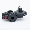RTZ-25 (L) / 0.4FQ Type Gas Pressure Regulator for LPG Helium Propane Argon & Natural Gas Metal Construction 1 Year Warranty