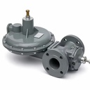 RTZ-50/0.4FQ Type Gas Pressure Regulator for LPG Helium Propane Argon Natural Gas (Metal)