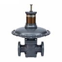 RTZ-L Series Metal Gas Pressure Regulator for LPG/Propane