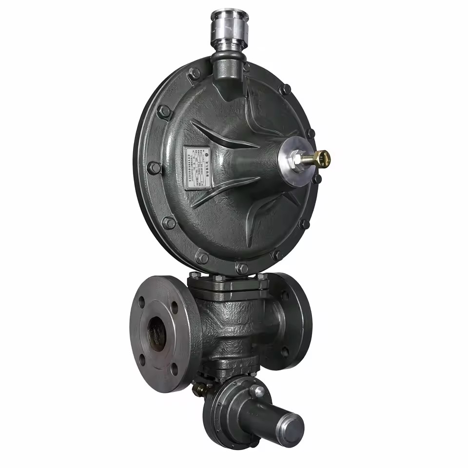 RTZ-50/0.4FQZ Type Spring Load Direct Acting Metal Gas Pressure Regulator for LPG Propane Helium Argon Natural Gas