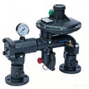 RX100/0.4A-50QB Series Metal Gas Pressure Regulator Cabinet LPG Natural Gas Helium Propane Argon Nitrogen CO2 28-120Nm3/h Flow