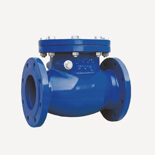 Wafer Dual Plate Non Return Valve Cast Metal High Strength Anti Corrosion Blue Shield Compact Fitting