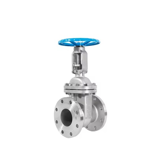 ANSI 150LB Manual Gate Valve CF8 M API Stainless Steel Flange Normal Temperature Gas Hard Seal Rising Stem Brand 1 Year