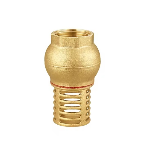 Brass Foot Valve With Filter and Rubber Seal Brass Foot Valve APM 7200 With Double Guide F Strainer and Rubber Disc 2" ISO 228