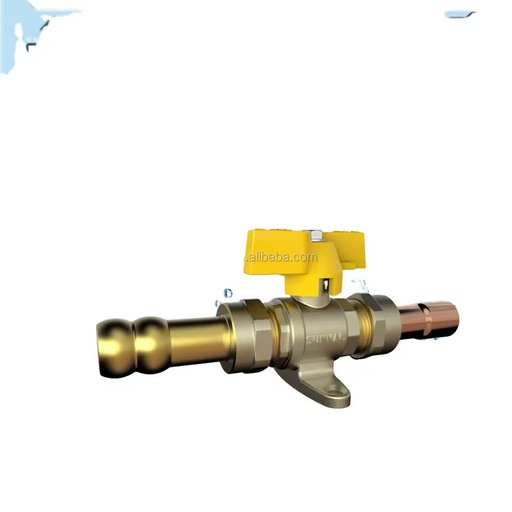 S165 20 BALL VALVE for GAS