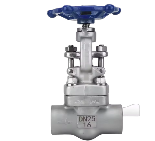 Forged Steel Material, Sleeve Welding, Threaded Joint NPT 800LB, J61F High-temperature Oil and Gas Shut-off Valve F304