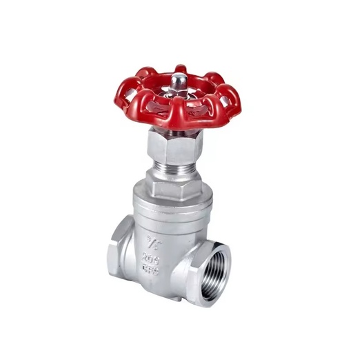 Stainless Steel CF8M Npt 800 Wog Gate Valve