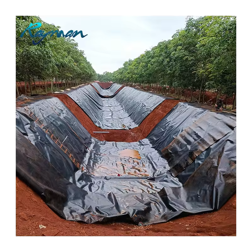 HDPE Pond Liner 0.5mm HDPE Geomembrane 1.0mm 1.5mm for Fish Farming and Dam HDPE Geomembrane