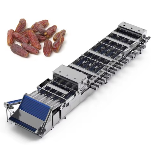 Red Date Grading and Sorting Machine Deteriorated Date Pitting Machine