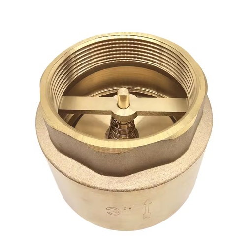 1/2 to 2" 3" 4" Monobloque and Removable Forged Brass Check Valve Non-return Spring Valve