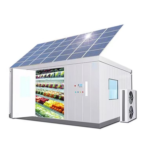 Energy-Saving Solar Powered Scroll Compressor Condenser Unit Cold Storage Freezer with Core Motor Component