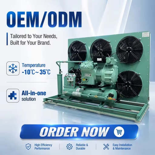Energy Saving H-Type Piston Compressor Condensing Unit for Low Temperature Cold Room Freezer Vegetable Meat Storage R404A/R507