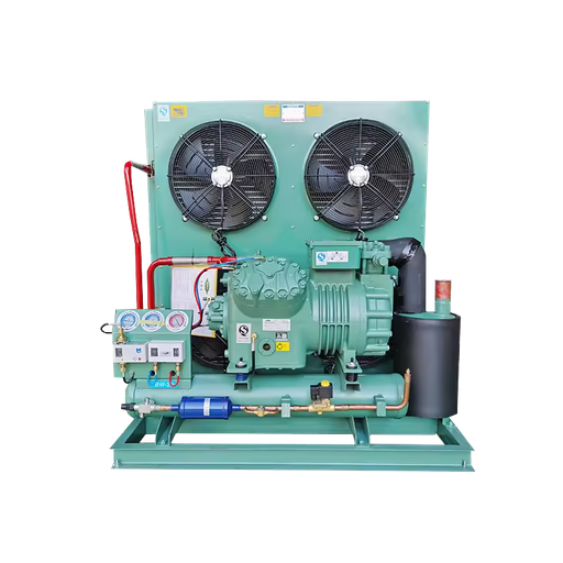 2023 New Design Energy Saving Motor 15HP Air Cooled Refrigeration Equipment Condensing Unit for Cold Walk-in Cold Storage Room
