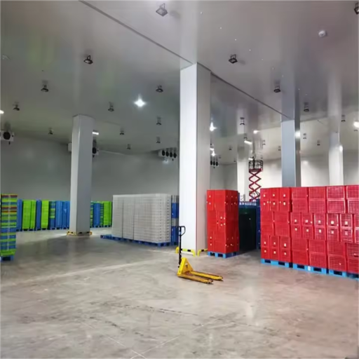 Modular Constant Temperature Cold Storage Room with PU Insulation for Meatball Processing Cold Chain Logistics
