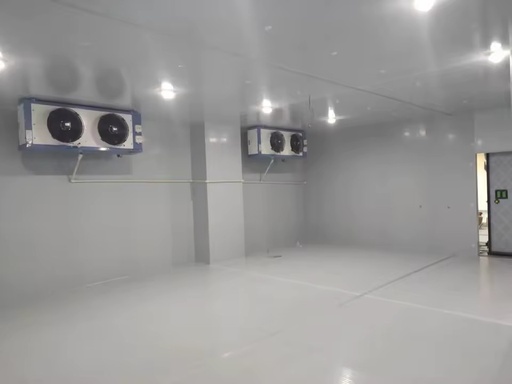 Constant Temperature Freezer Room with Automatic Control Custom Size Refrigeration Freezing Room for Supermarkets Restaurants