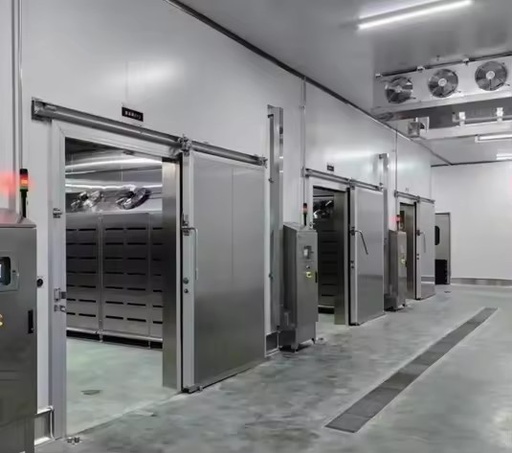 Intelligent Automatic Temperature Control Large Meat Cold Storage Copeland Solar Powered One Stop Construction for Food Factory