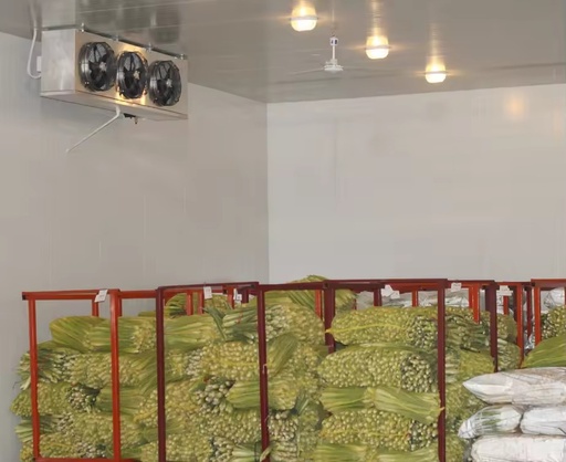 Intelligent Automatic Temperature Control Large Fruit Vegetable Cold Storage with Solar One Stop Construction Solution