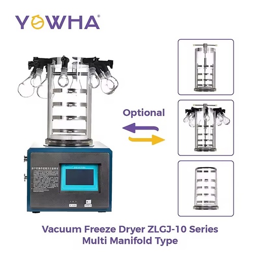 Laboratory Equipment Vacuum Lyophilizer with 0.1㎡ Freeze Dried Area 2L/S Pumping Speed 0.1Pa Ultimate Vacuum