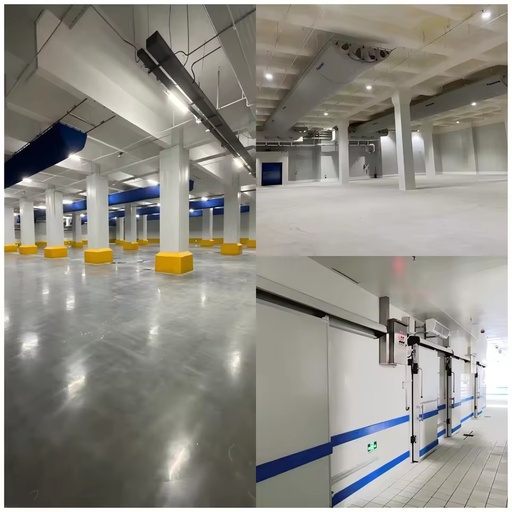 Professional High-Temp Walk-in Cooler Unit Custom Size Fresh-Keeping Equipment for Fruit Vegetable Storage