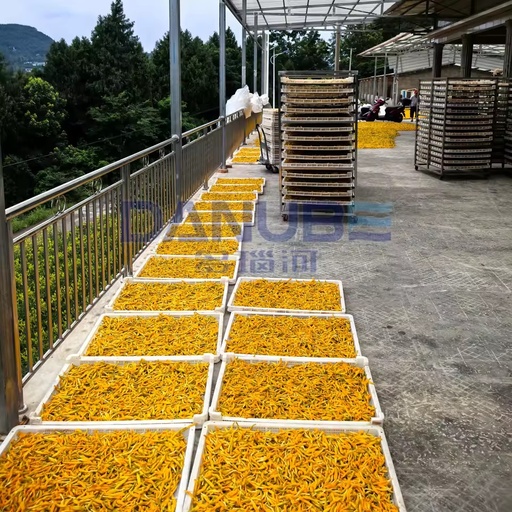 Large Scale Heat Pump Drying Oven Room Daylily Dryer Machine Daylily Dehydrator Equipment