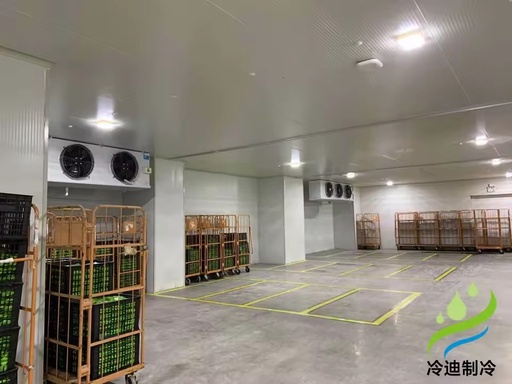 20ft & 40ft Container Type Large Fruit Vegetable Cold Storage with Automatic Copeland Emerson Compressors One Stop Construction