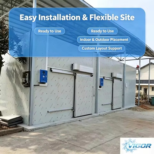 Multifunctional Cold Freezer Room Custom Temp Size for Fruit Vegetable Meat Seafood Commercial Preservation