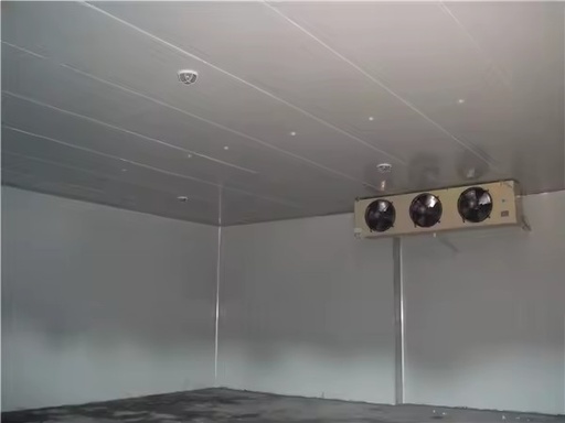 Energy Saving Automatic Copeland Solar Powered Large Vegetable Cold Room One Stop Construction for Farm Produce Storage
