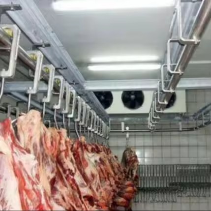Automatic Meat Cold Storage Room Engine Gearbox -18~-25 Frozen Beef Pork Chicken Preservation Eco-Friendly Cold Storage