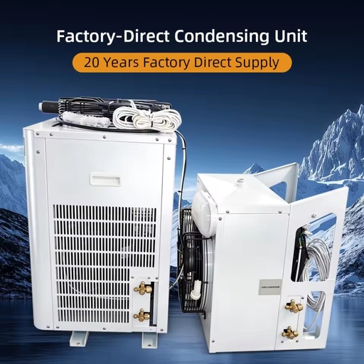 3HP Box Type Medium Temp R290 Condensing Unit for Small Cold Room Restaurant Cooler Energy Saving Factory OEM