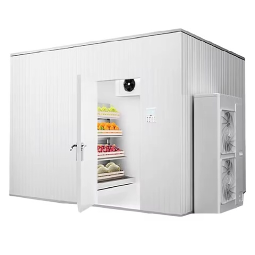 Walk in Cooler Room Freezer Room Cold Room Storage with Refrigeration Equipment for Seafood Meat Fruits Vegetables