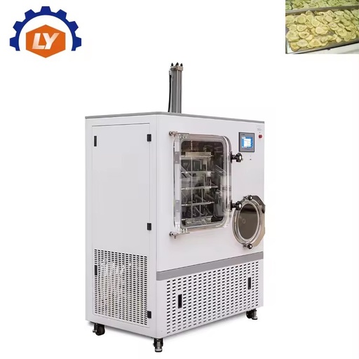 Dual Mode Vacuum Freeze Dryer Vial Liquid Raw Material Low Temp Powder Equipment Layers Shelf Hydraulic Stoppering Lyophilizer
