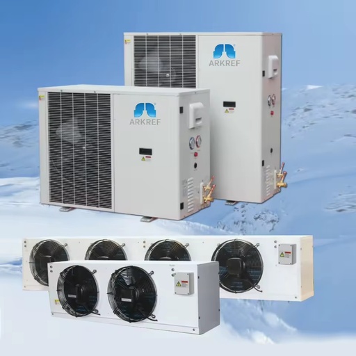 Energy Saving Cold Room Storage Frequency Conversion/DC Inverter Refrigeration Condensing Units With Rotary Compressor