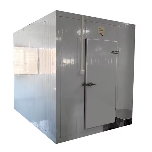 Energy-Efficient Ready-to-Use Walk-in Chiller for Commercial Kitchens and Restaurant for Food Cold Storage