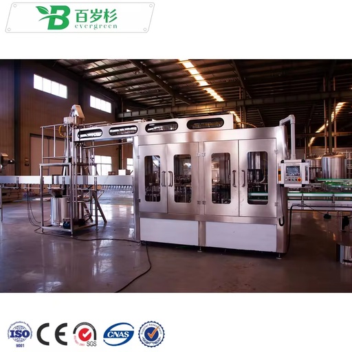 BS-Automatic Bottled Water Filling Machine Mineral Water Bottling Plant Mineral Water Production Line