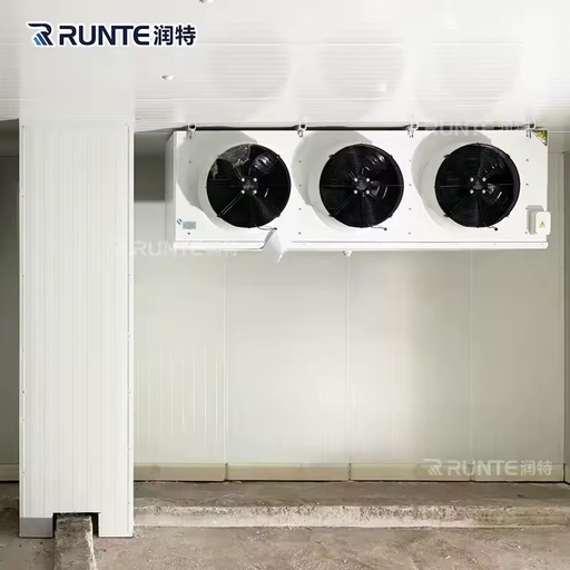 Smart Remote Monitoring Commercial Walk in Freezer Cold Room Storage for Meat and Fish Refrigeration Unit