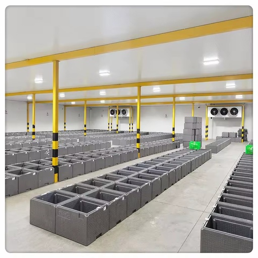 High Capacity Walk-in Cold Storage Room for Meat Seafood Vegetable Fruit Frozen Preservation Factory Direct Sale