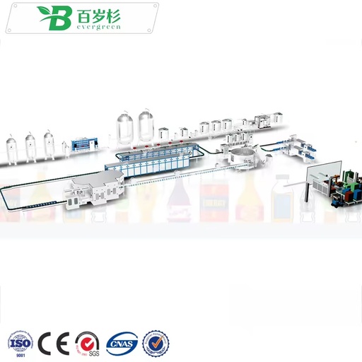 BS-Mineral Water Filling / Full Automatic Complete Bottled Drinking Mineral Water Production Line / Bottled Water Pure Machine