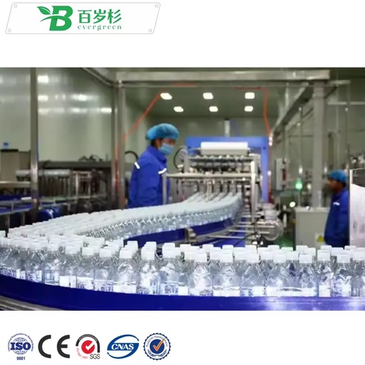 BS-Automatic Complete Water Production Line Beverage Bottle Drink Filling Packaging Machine Mineral Water Bottling Plant