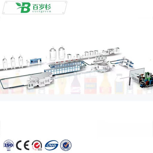 BS-Complete Turnkey Project Cost PET Glass Drink Bottling Machine Pure Mineral Water Bottle Filling Production Line