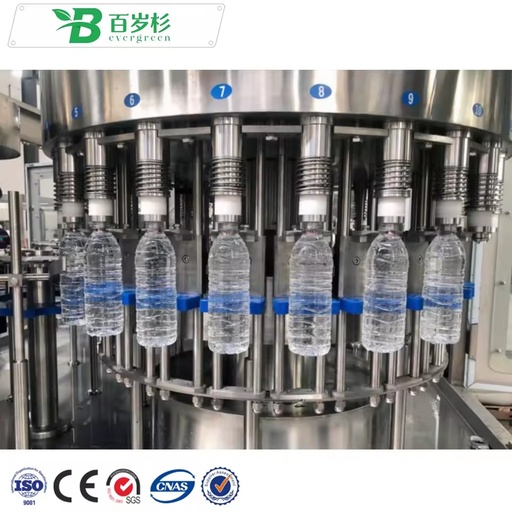 BS-Full Automatic Filling Bottling Plant Complete Set Pet Plastic Small Bottle Pure Drinking Mineral Water Production Line