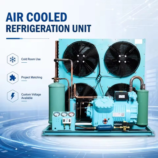 3HP Air Cooled Condensing Unit R404A for Seafood Fish Cold Storage Refrigeration System for Industrial Cold Storage Project